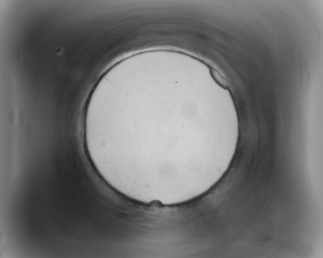 X0000088021526200706081431