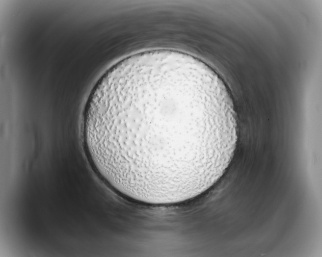 X0000088021527200706081431