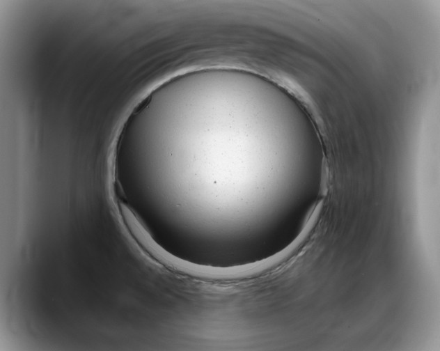 X0000088021528200706081431