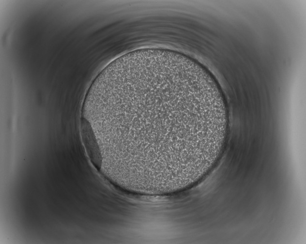 X0000088021529200706081431