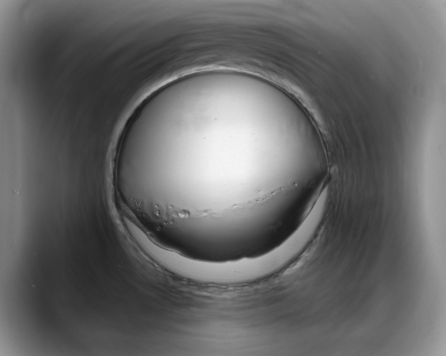 X0000088021530200706081431