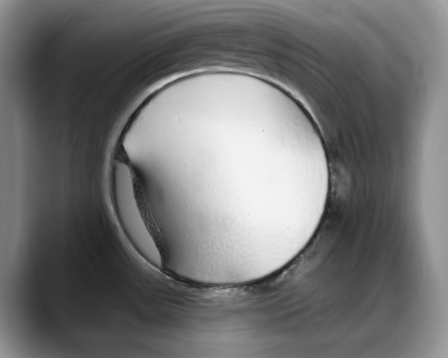 X0000088021531200706081431