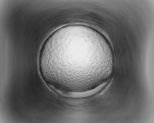 X0000088021533200706081431