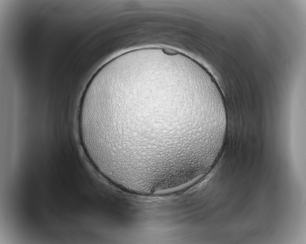 X0000088021534200706081431