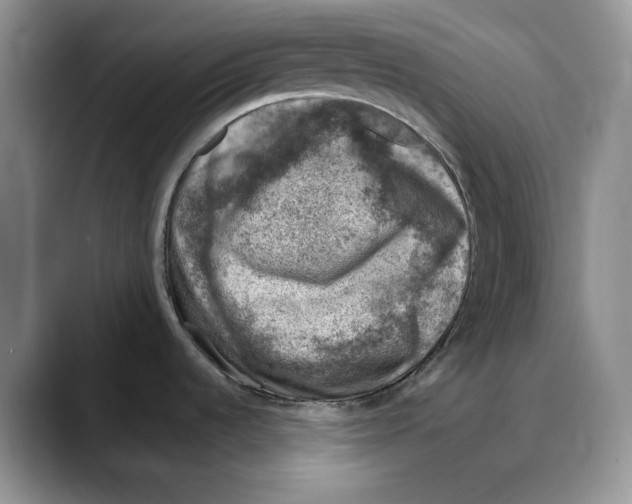 X0000088021536200706081431