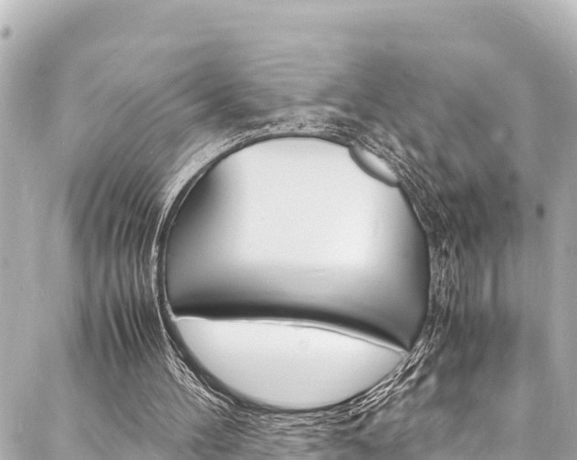 X0000088030100200705110800