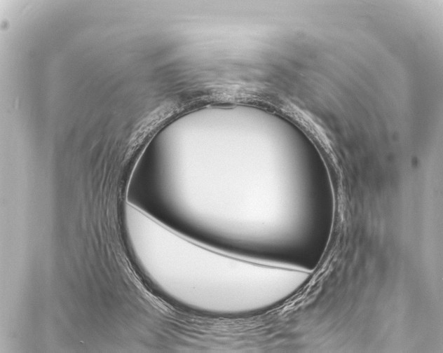 X0000088030105200705110800