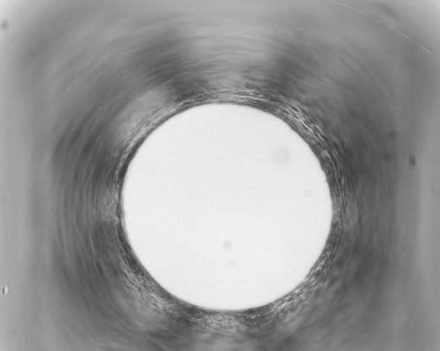 X0000088030146200705110759