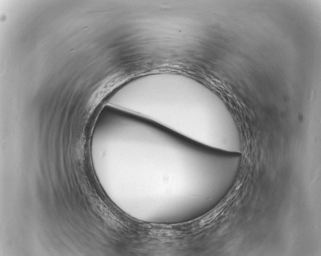 X0000088030242200705110757