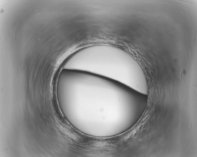 X0000088030246200705110757