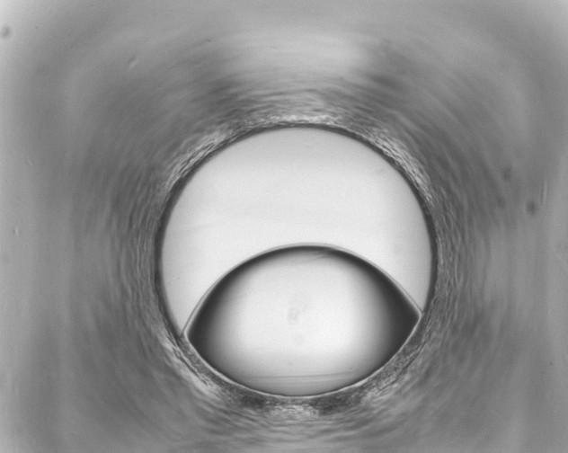 X0000088030397200705110755
