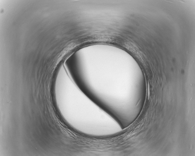 X0000088030483200705110754