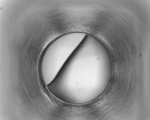 X0000088030626200705110751