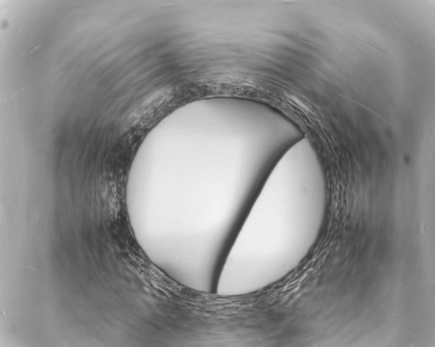 X0000088030774200705110749