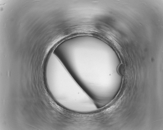 X0000088030779200705110749