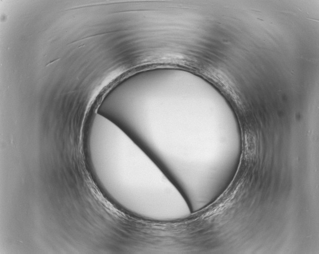 X0000088030780200705110749