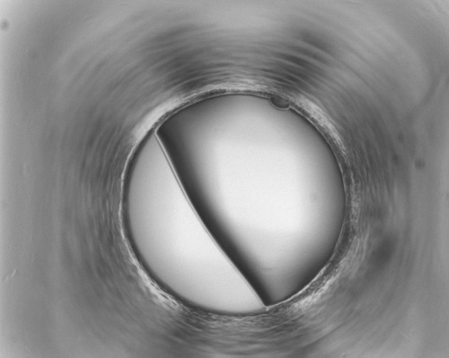 X0000088030845200705110748