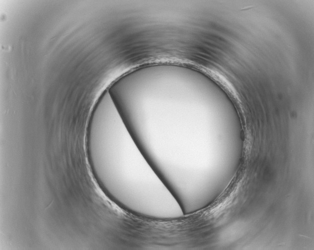 X0000088030847200705110748