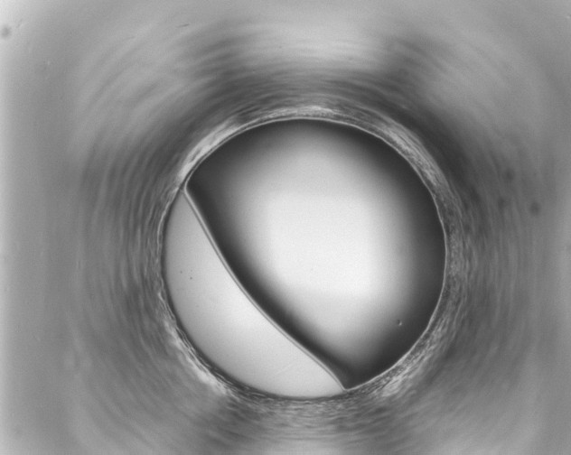 X0000088030858200705110748