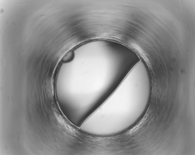 X0000088030892200705110747