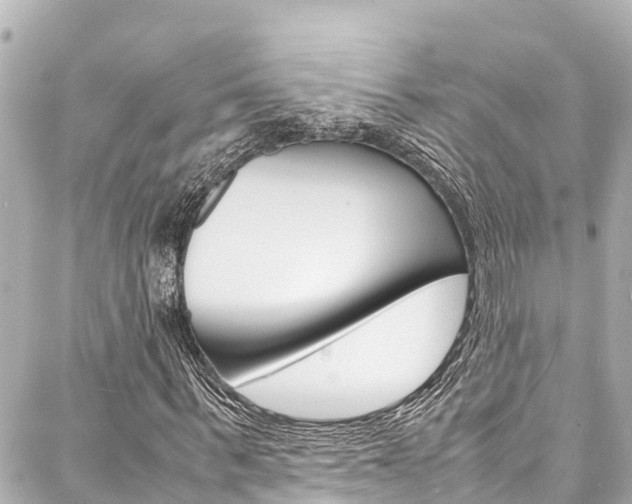 X0000088030963200705110746