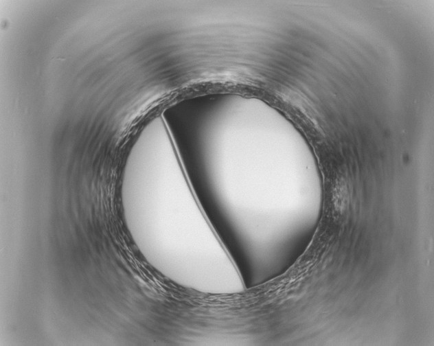 X0000088030968200705110746