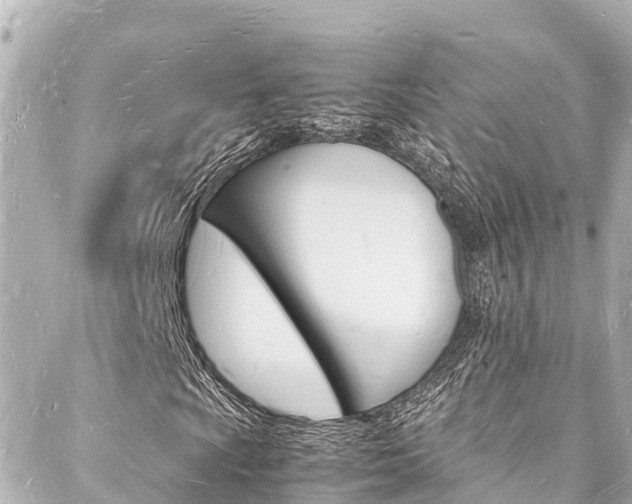 X0000088031009200705110745
