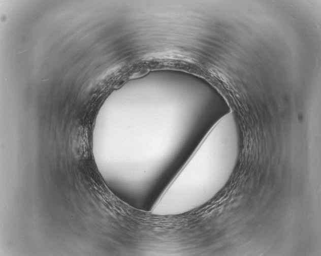 X0000088031062200705110744