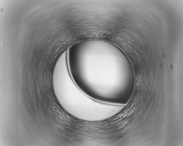 X0000088031202200705110741