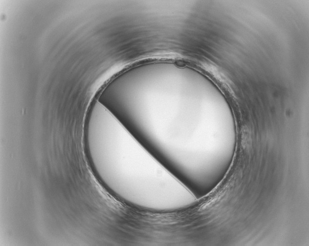 X0000088031229200705110742