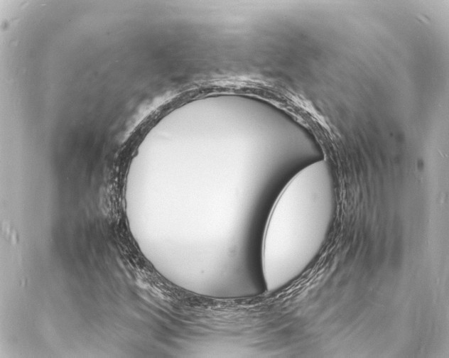 X0000088031256200705110741
