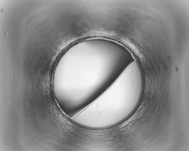 X0000088031264200705110741