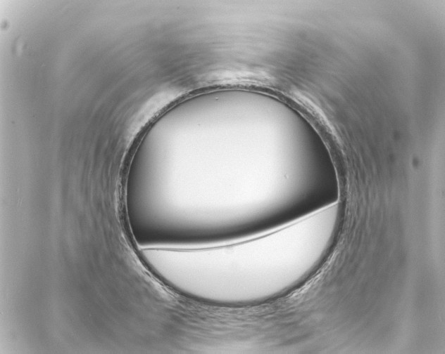X0000088031277200705110741