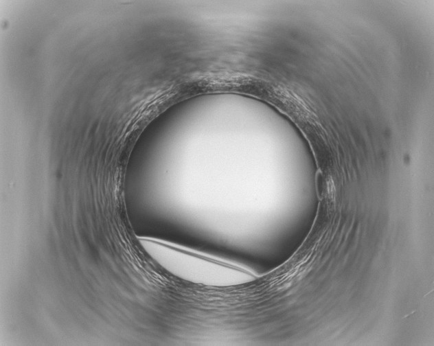 X0000088031300200705110740