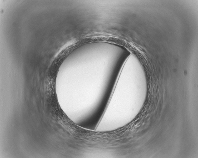 X0000088031351200705110740