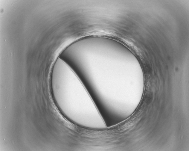 X0000088031375200705110739