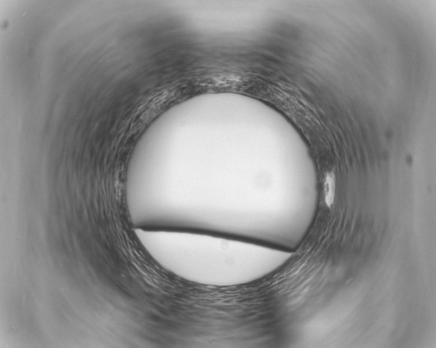 X0000088031395200705110738