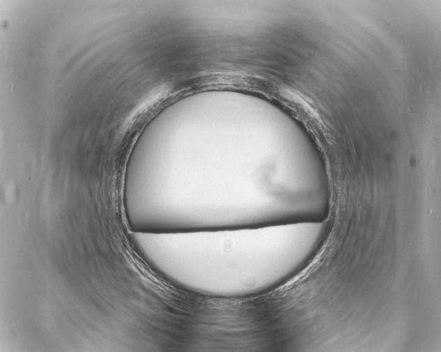 X0000088031403200705110738