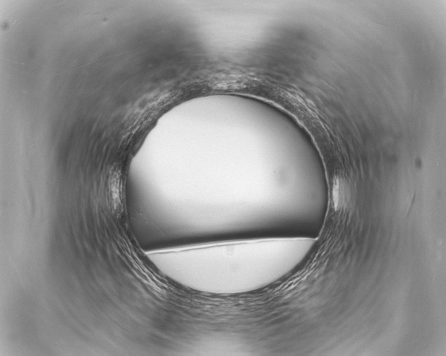 X0000088031444200705110738
