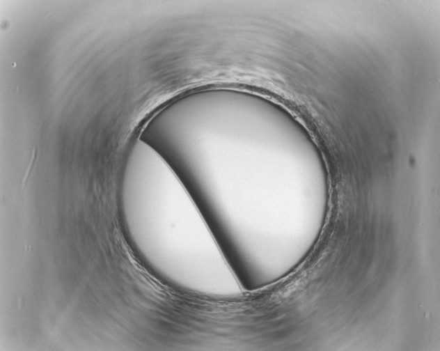 X0000088031505200705110737