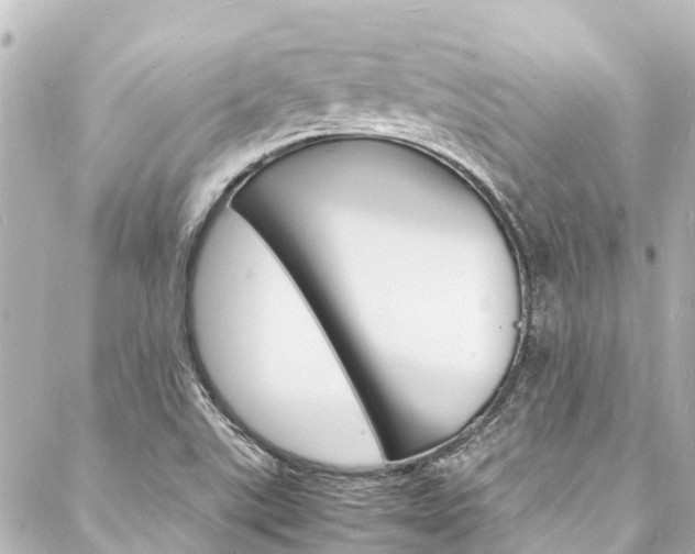 X0000088031507200705110737