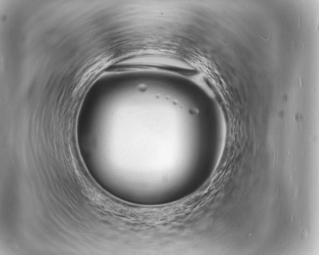 X0000088030001200705111207