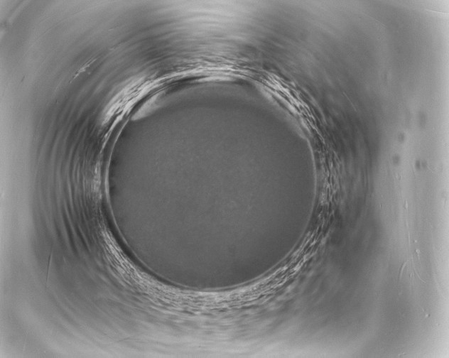 X0000088030002200705111207