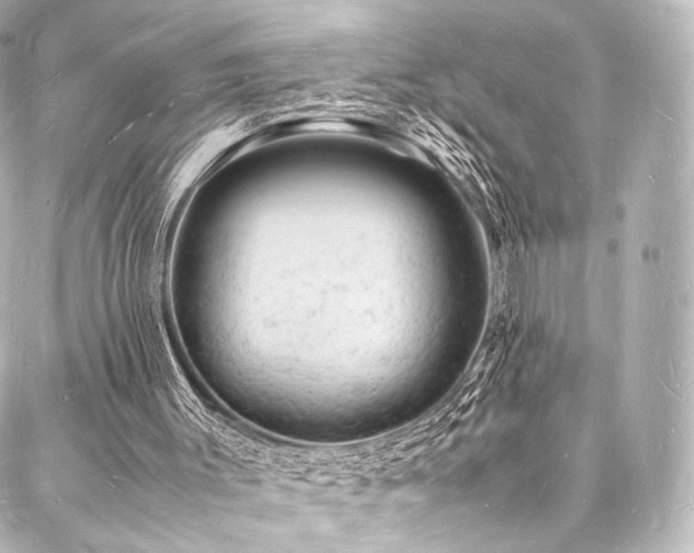 X0000088030003200705111207