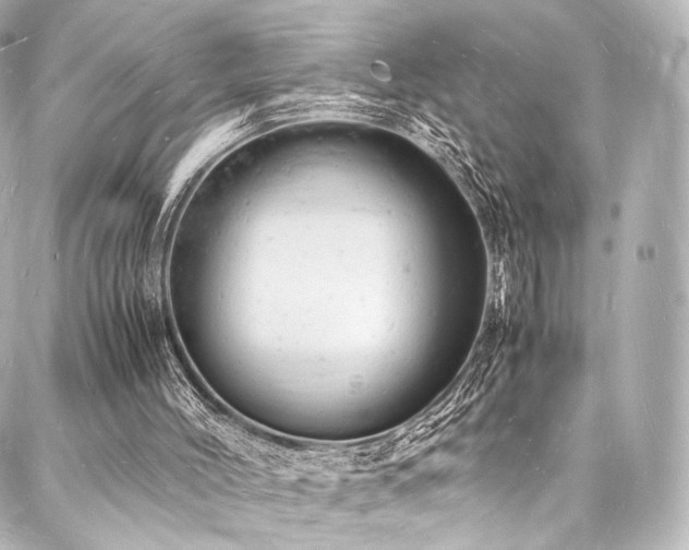 X0000088030004200705111207