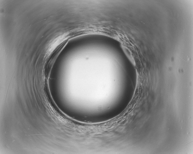 X0000088030005200705111207