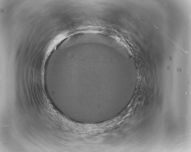 X0000088030006200705111207