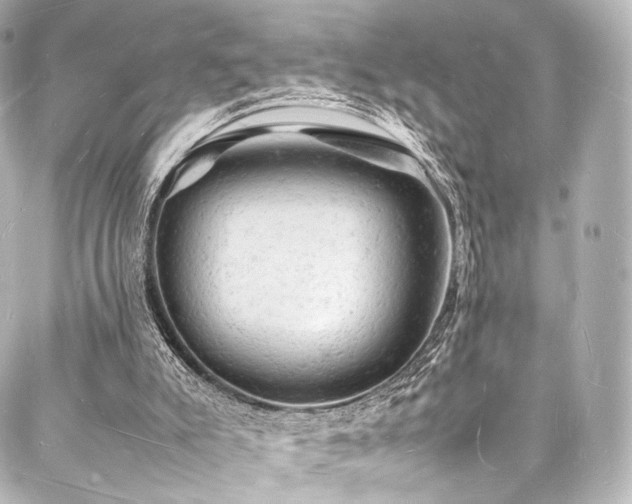 X0000088030007200705111207