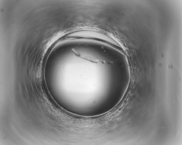 X0000088030008200705111207