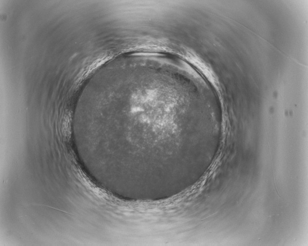 X0000088030009200705111207